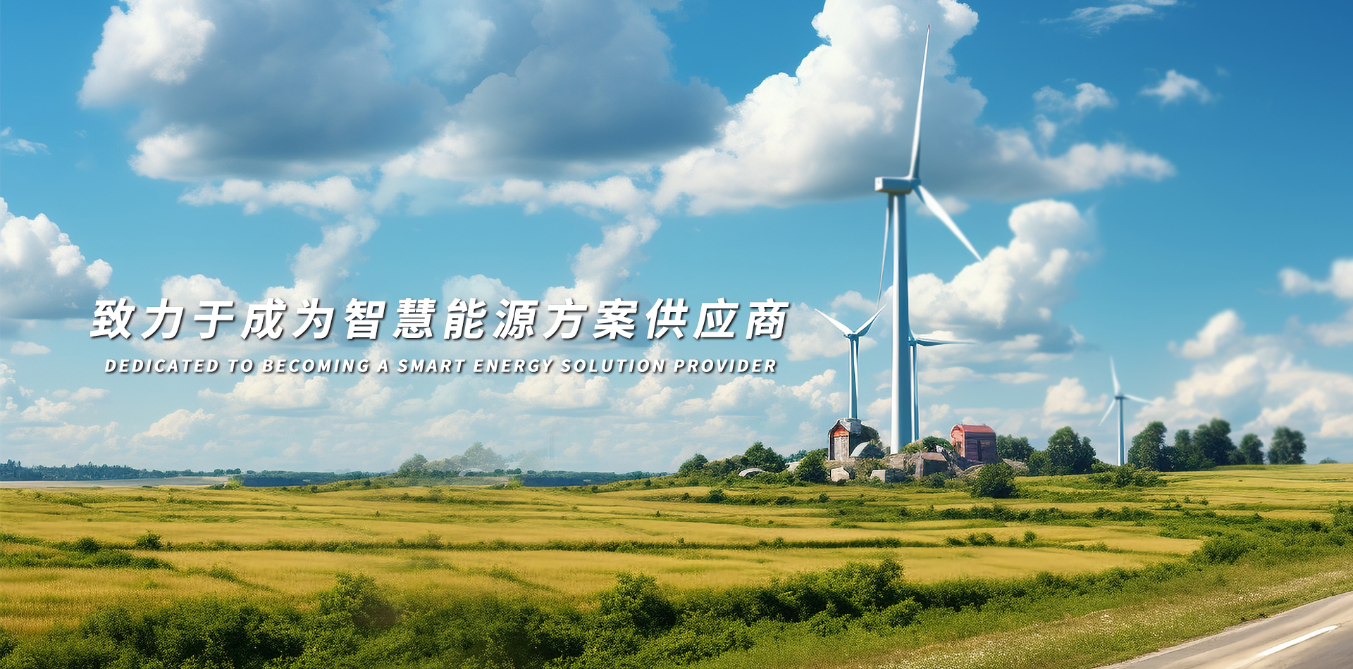Zhongfande New Energy Group